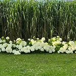 Bed and Breakfast D'aumont 4*