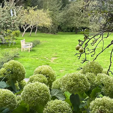 D'aumont Couette-café 4*