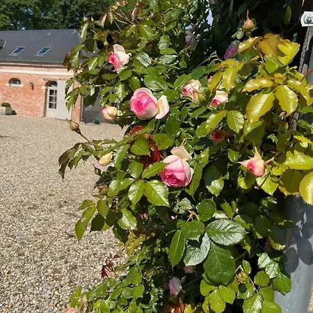 Couette-café D'aumont