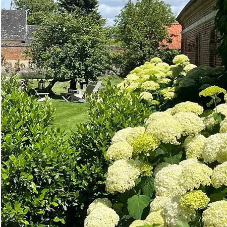 D'aumont Bed & Breakfast