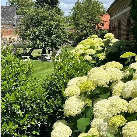 D'aumont B&B