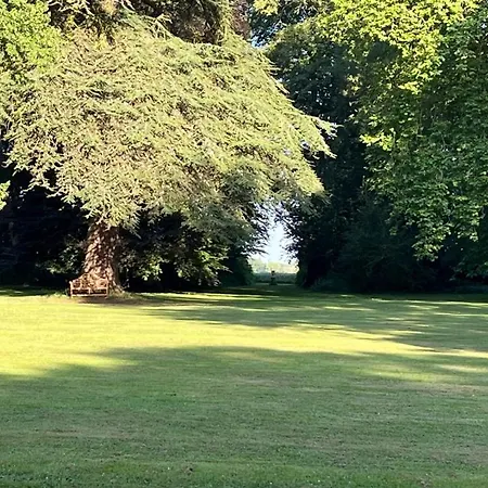 D'aumont Bed & Breakfast 4*