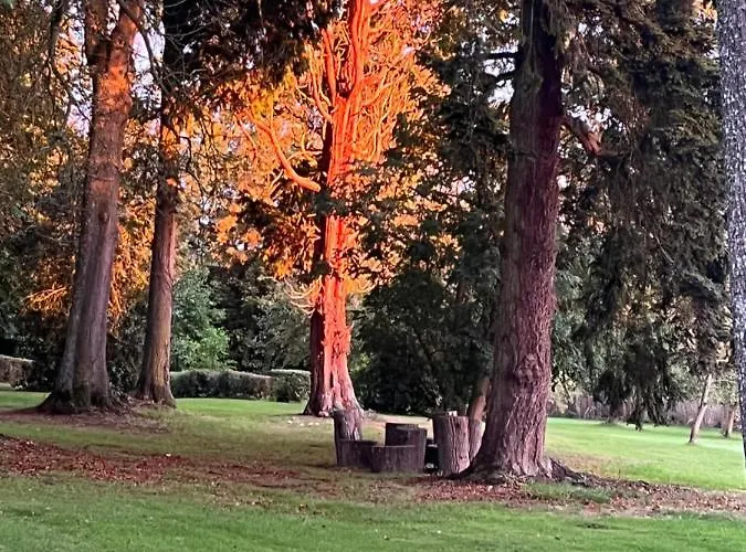 Bed & Breakfast D'aumont 4*