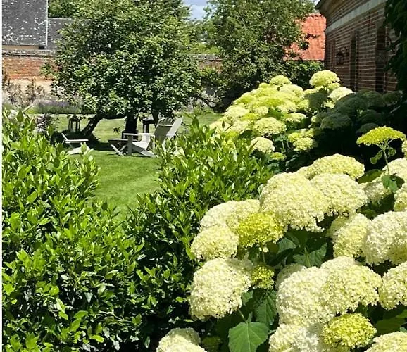 D'aumont Bed & Breakfast