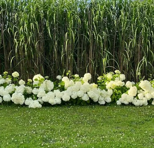 Bed & Breakfast D'aumont 4*