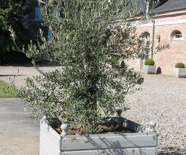 Bed & Breakfast D'aumont 4*